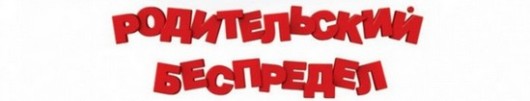Описание к фильму «Родительский беспредел» (2012)