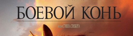 boevoj-kon-war-horse